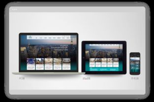 手機(jī)版網(wǎng)站制作 wap網(wǎng)站設(shè)計 響應(yīng)式網(wǎng)站制作 h5官網(wǎng)制作 盛世陽光